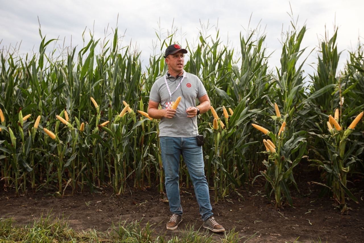 На зерно и на силос: в Беларуси зарегистрированы 3 гибрида кукурузы LG