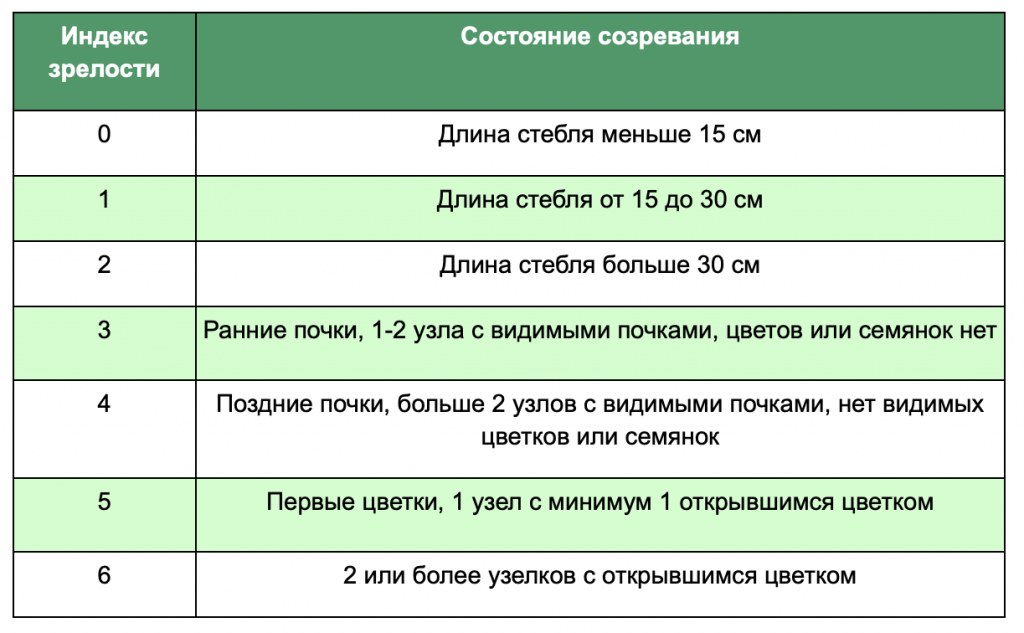 Снимок экрана 2024-05-31 в 11.20.58.png